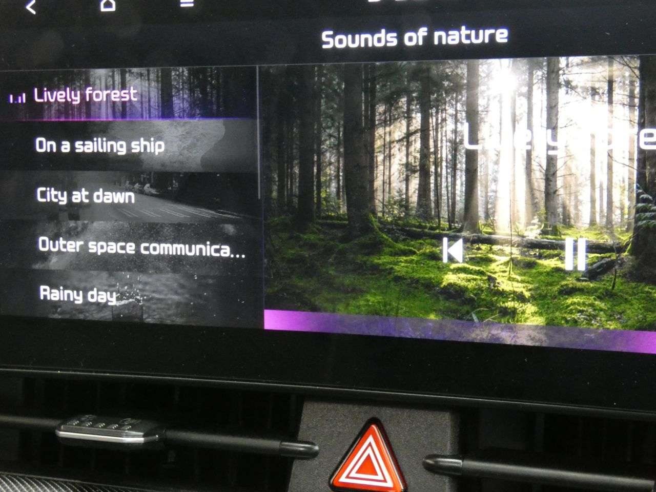 2025 KIA SPORTAGE 2025 KIA SPORTAGE
