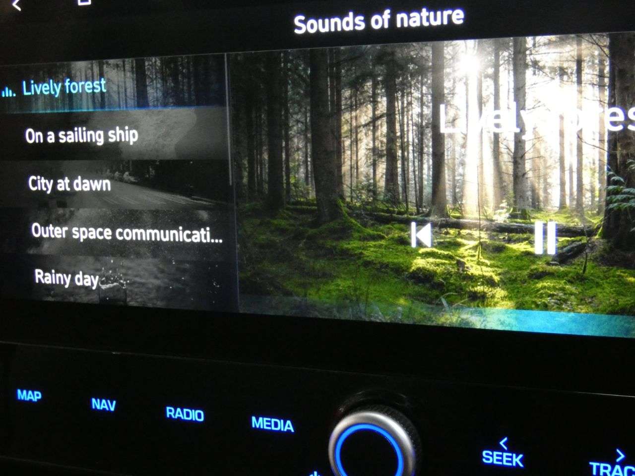 2019 HYUNDAI IONIQ 2019 HYUNDAI IONIQ