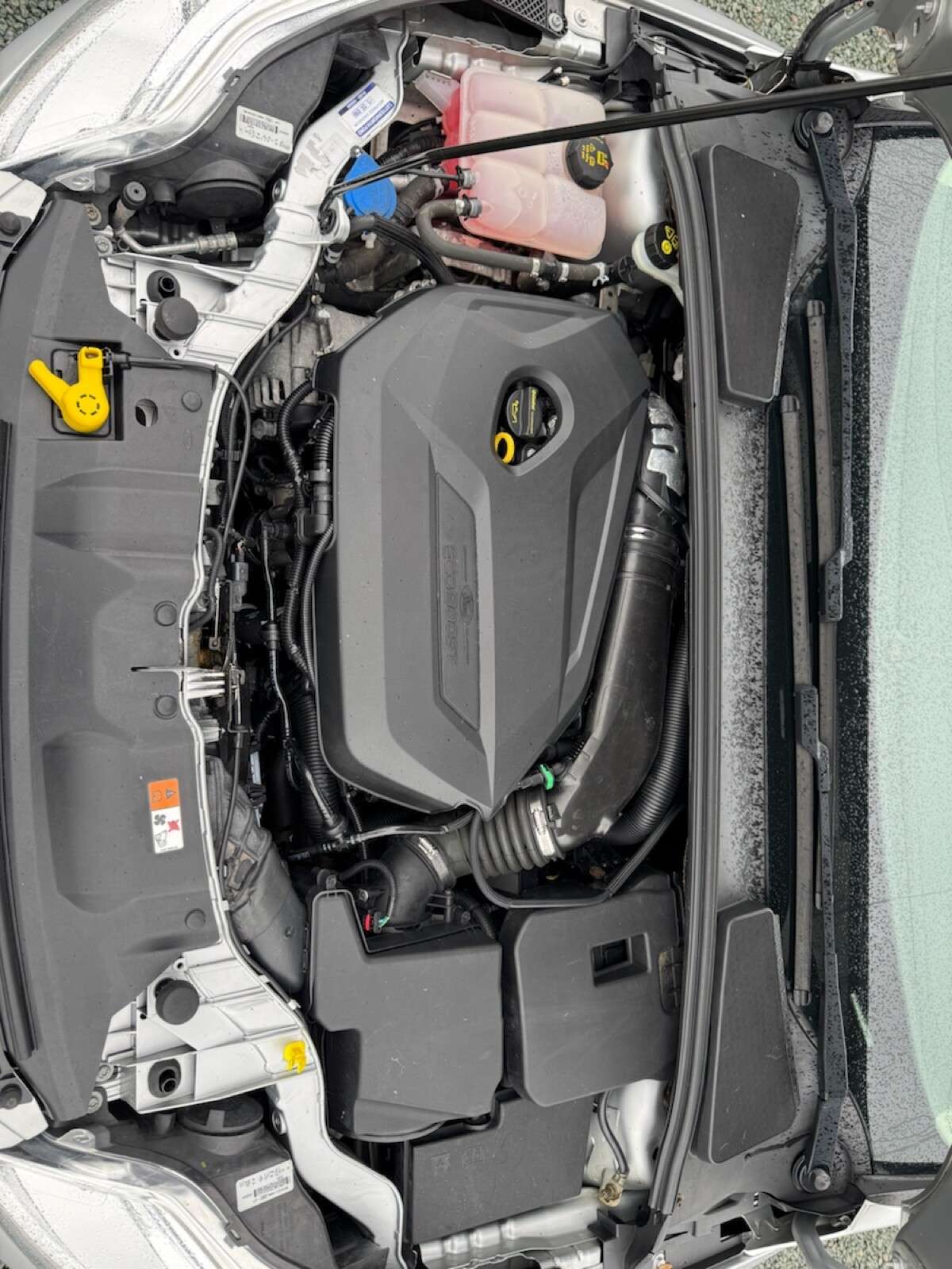 2013 FORD FOCUS 2013 FORD FOCUS