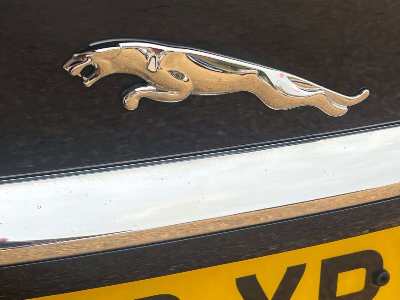 2013 JAGUAR XF 2013 JAGUAR XF