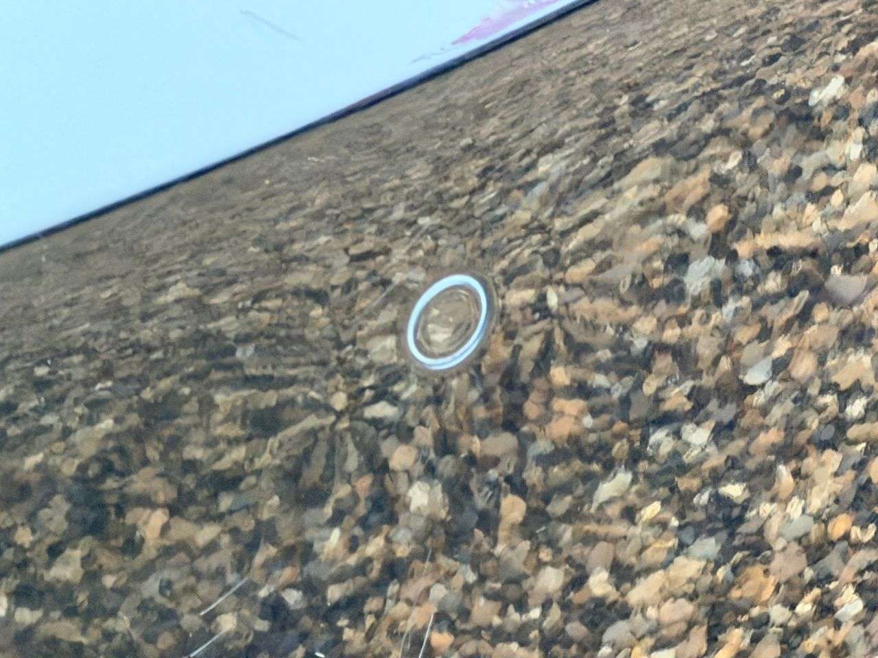 2014 VOLKSWAGEN BEETLE 2014 VOLKSWAGEN BEETLE