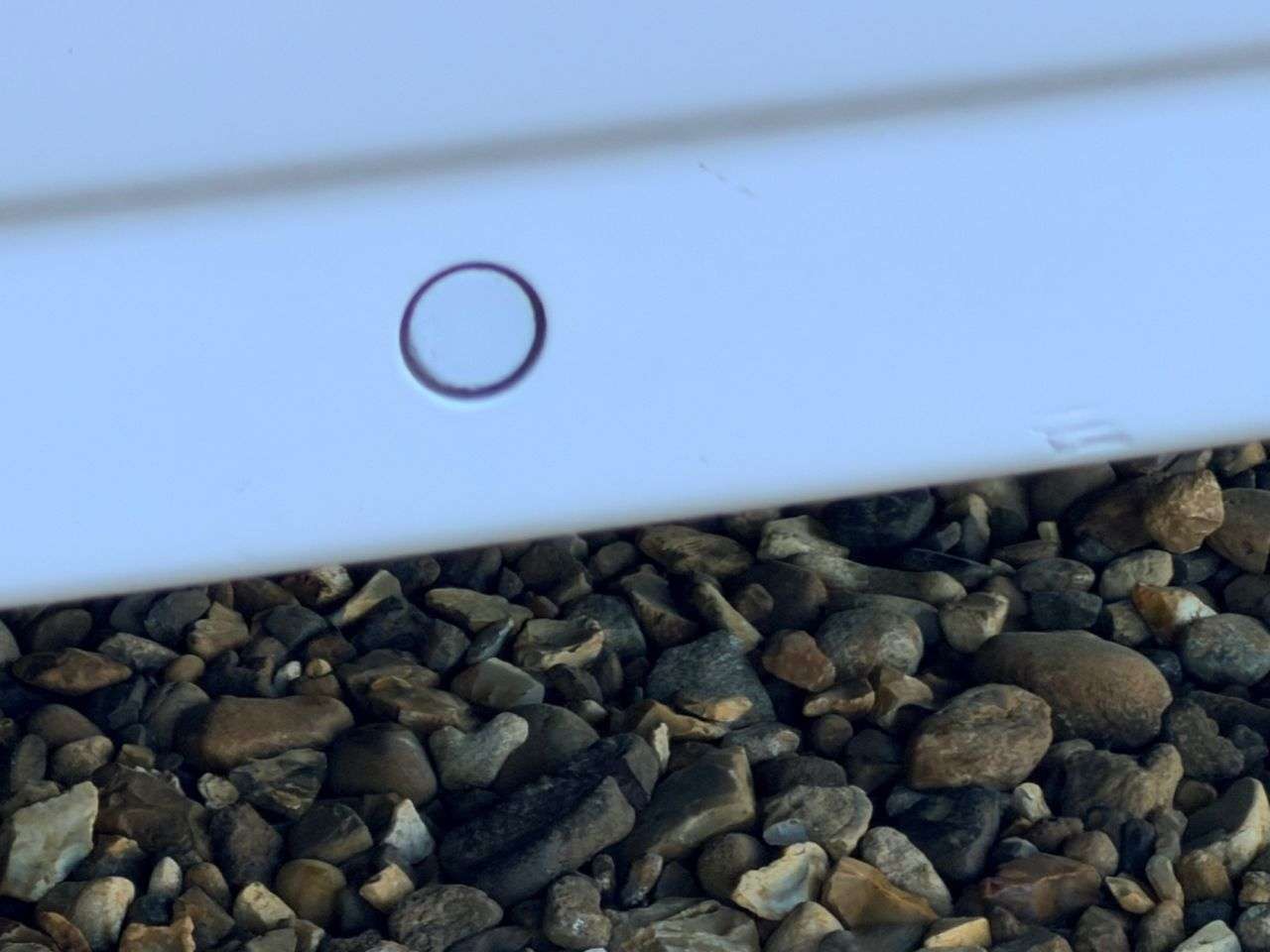 2019 VAUXHALL VIVARO 2019 VAUXHALL VIVARO