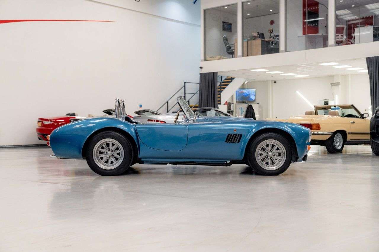 2009 AK COBRA 2009 AK COBRA