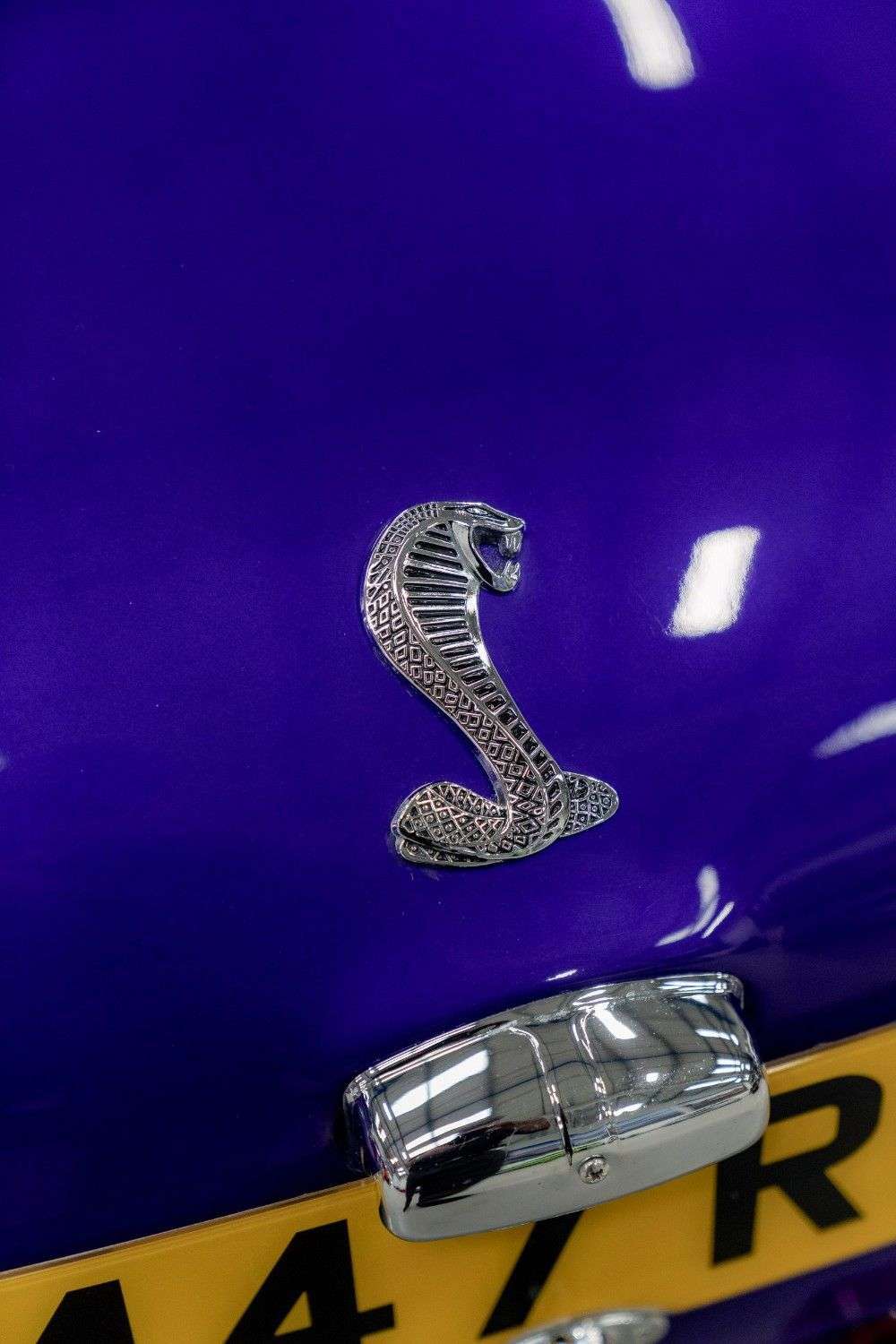 2023 AK COBRA 2023 AK COBRA