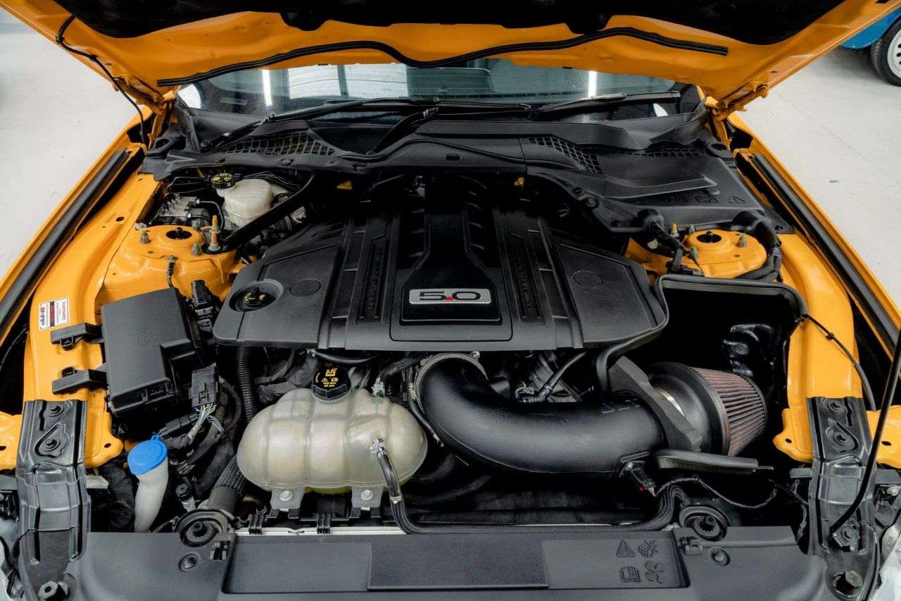 2022 FORD MUSTANG 2022 FORD MUSTANG