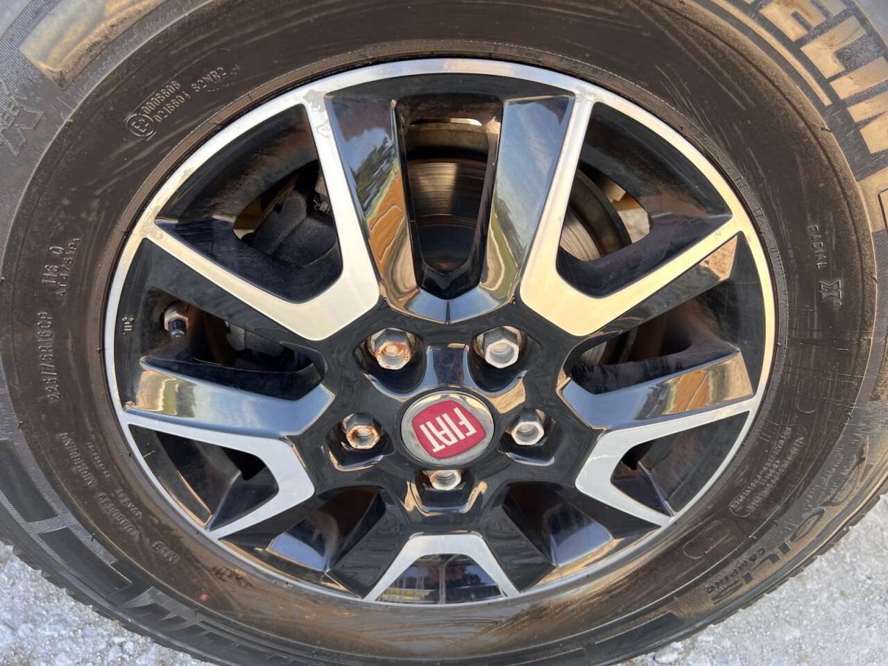 2021 BENIMAR PRIMERO 202 2021 BENIMAR PRIMERO 202