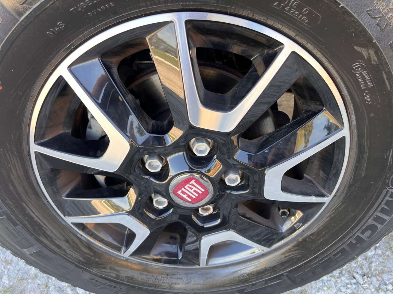 2021 BENIMAR PRIMERO 202 2021 BENIMAR PRIMERO 202