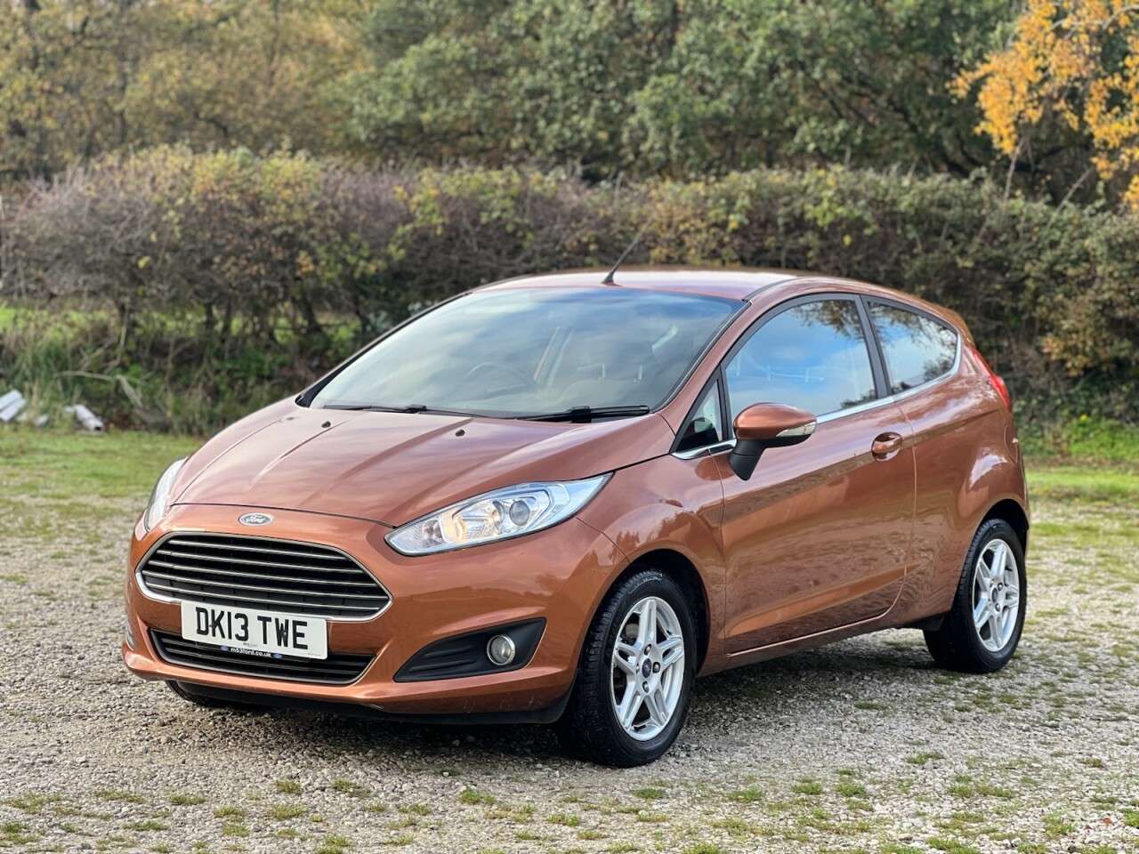 2013 FORD FIESTA 2013 FORD FIESTA