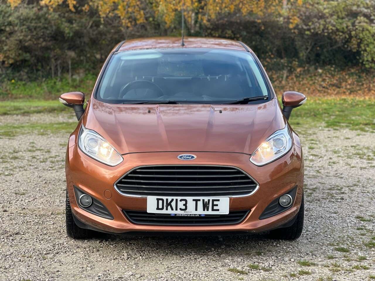 2013 FORD FIESTA 2013 FORD FIESTA