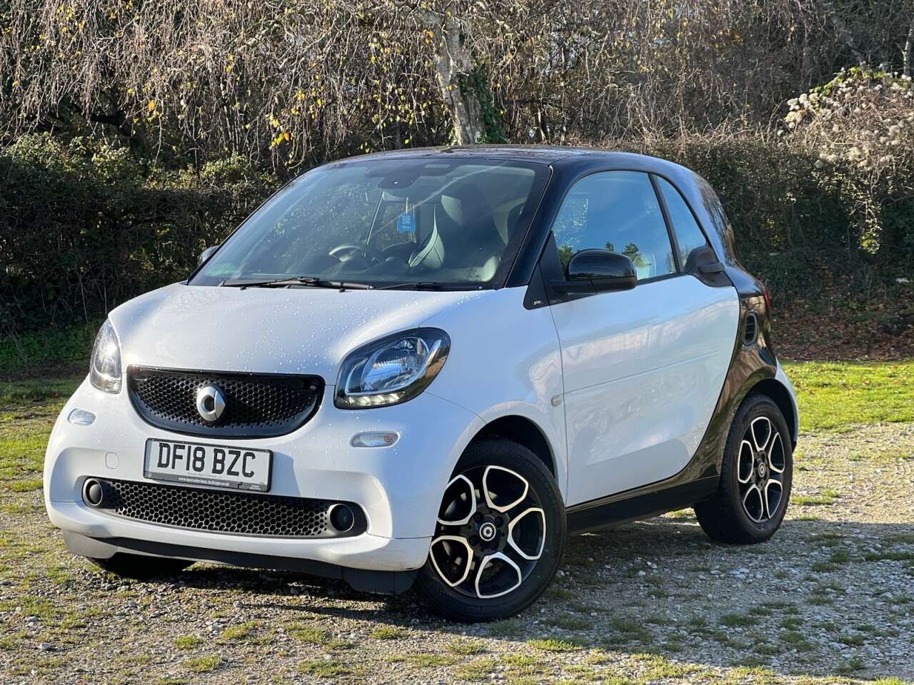 2018 SMART FORTWO 2018 SMART FORTWO