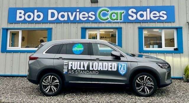 2025 SKYWELL BE11 2025 SKYWELL BE11