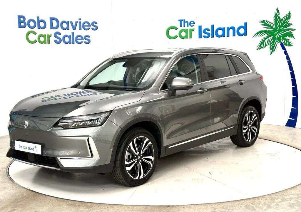 2025 SKYWELL BE11 2025 SKYWELL BE11