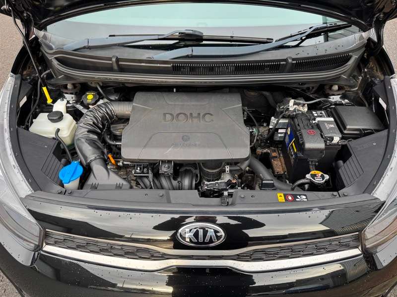 2019 KIA PICANTO 2019 KIA PICANTO