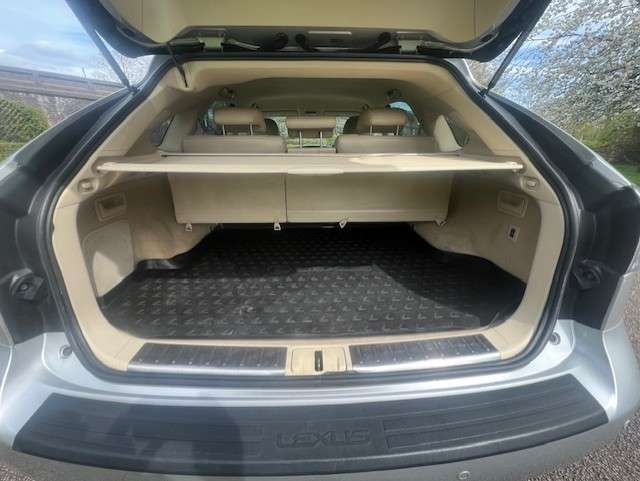 2010 LEXUS RX 2010 LEXUS RX