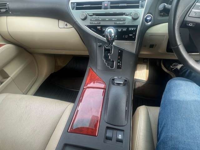 2010 LEXUS RX 2010 LEXUS RX