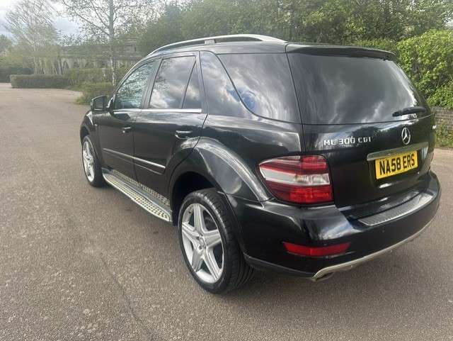 2010 MERCEDES-BENZ M CLASS 2010 MERCEDES-BENZ M CLASS