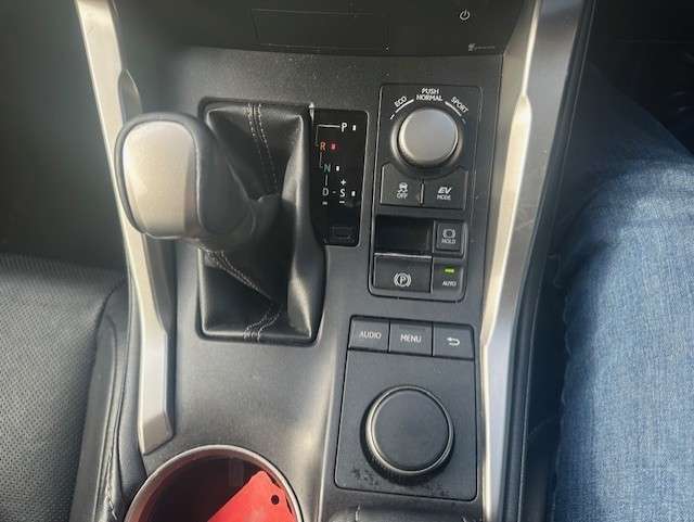 2015 LEXUS NX 2015 LEXUS NX