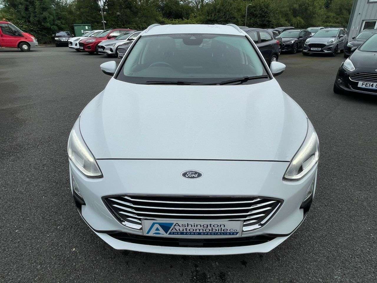 2019 FORD FOCUS 2019 FORD FOCUS