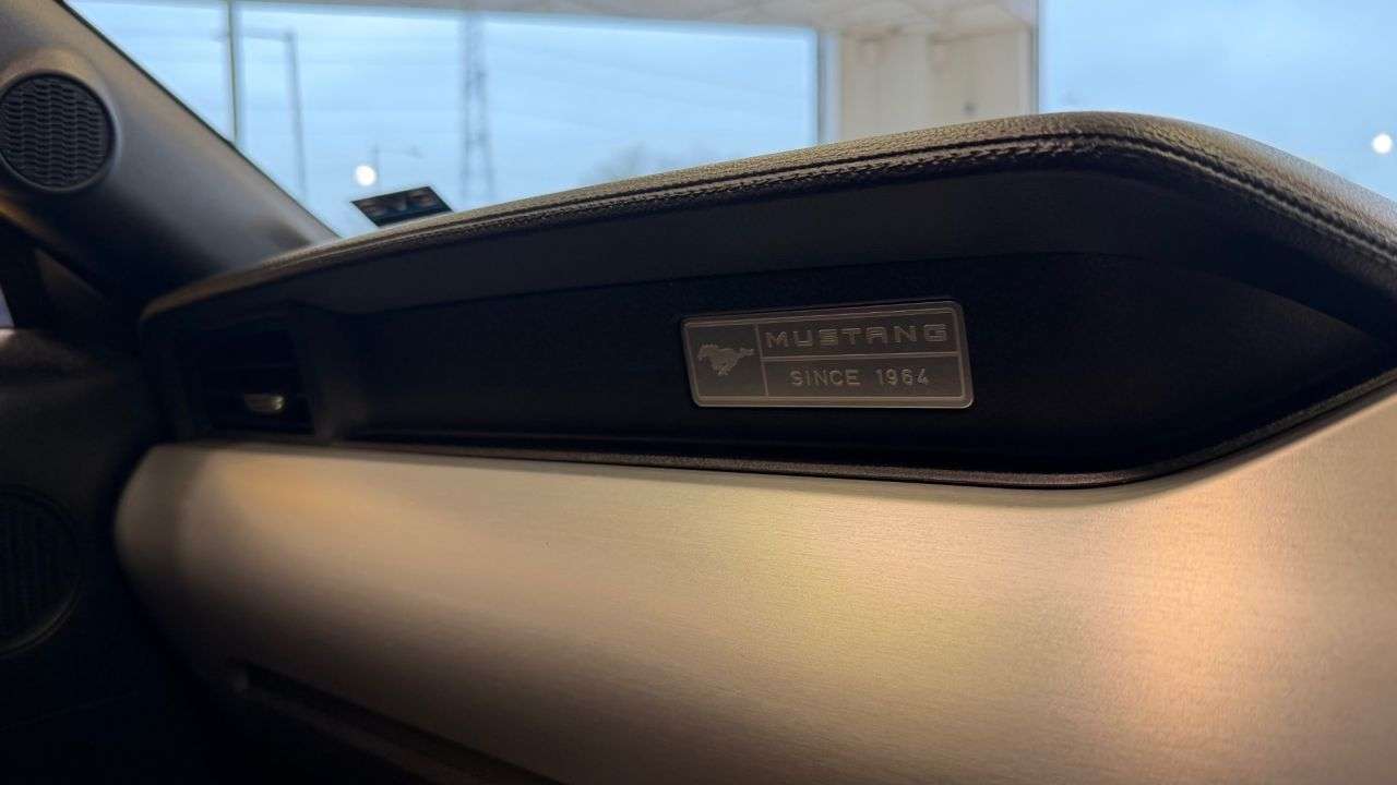 2017 FORD MUSTANG 2017 FORD MUSTANG