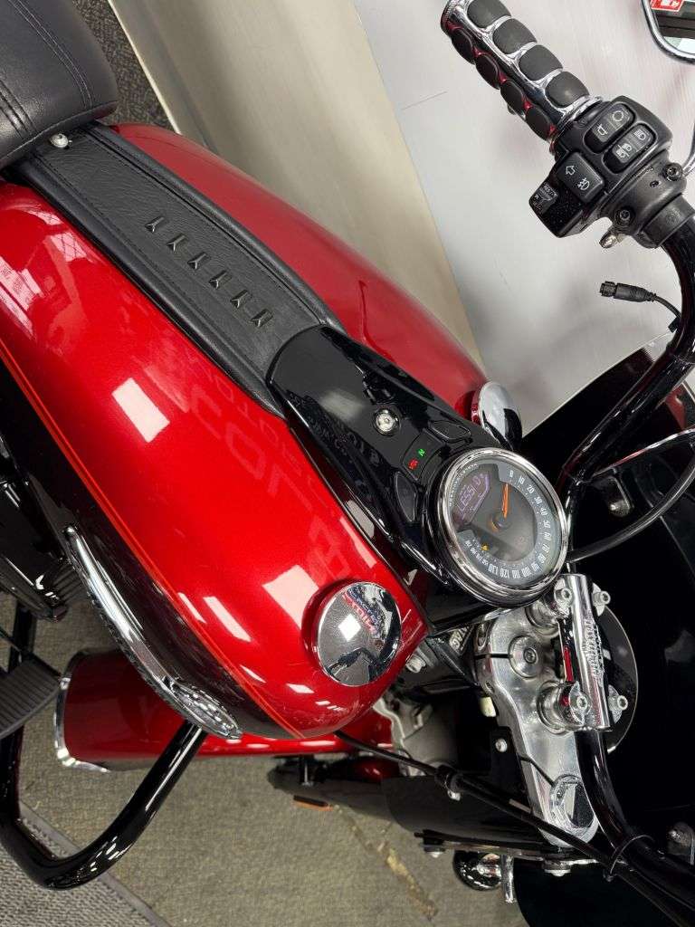 2019 HARLEY-DAVIDSON SOFTAIL 2019 HARLEY-DAVIDSON SOFTAIL