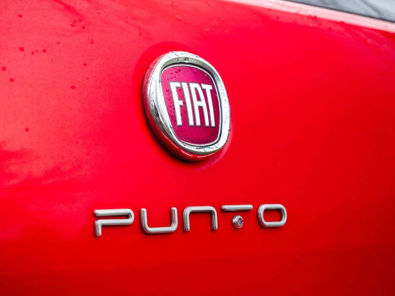2014 FIAT PUNTO 2014 FIAT PUNTO