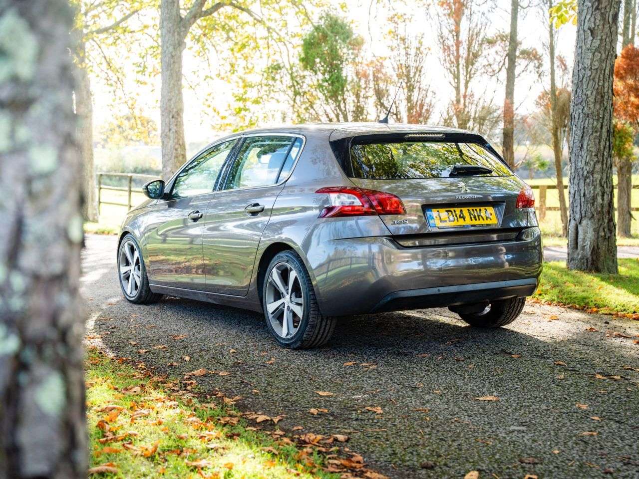 2014 PEUGEOT 308 2014 PEUGEOT 308