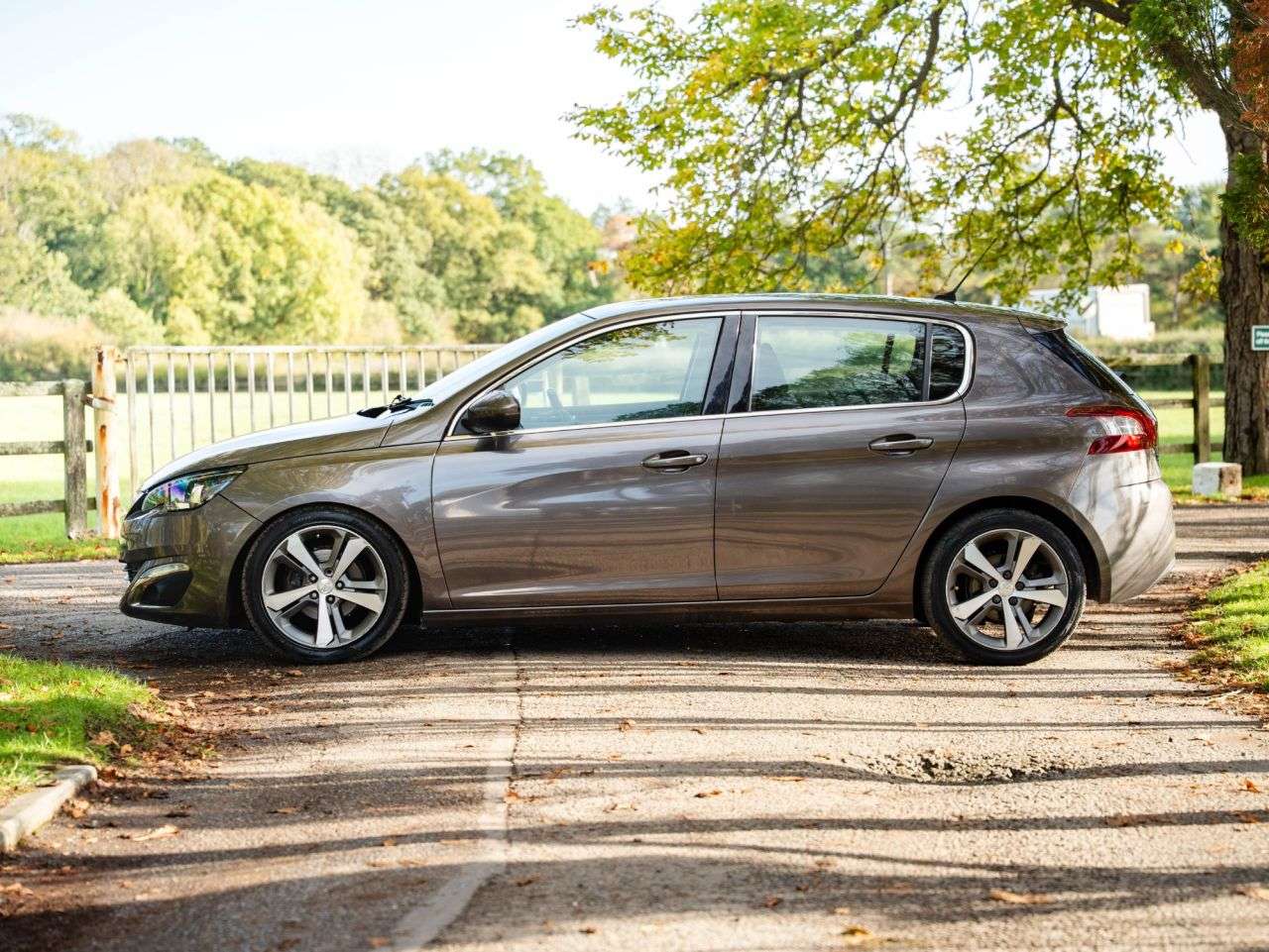 2014 PEUGEOT 308 2014 PEUGEOT 308