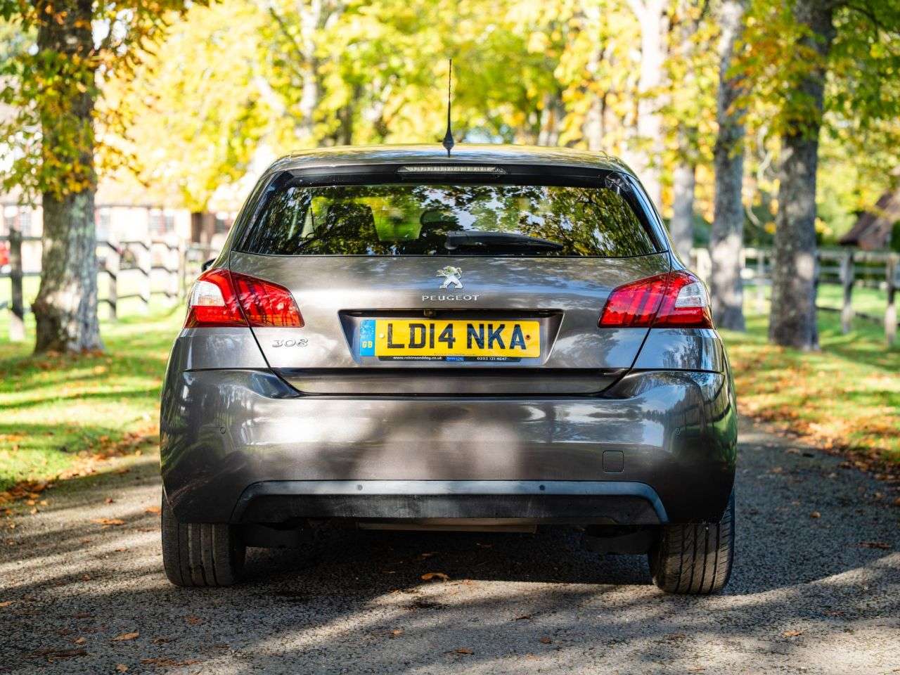 2014 PEUGEOT 308 2014 PEUGEOT 308