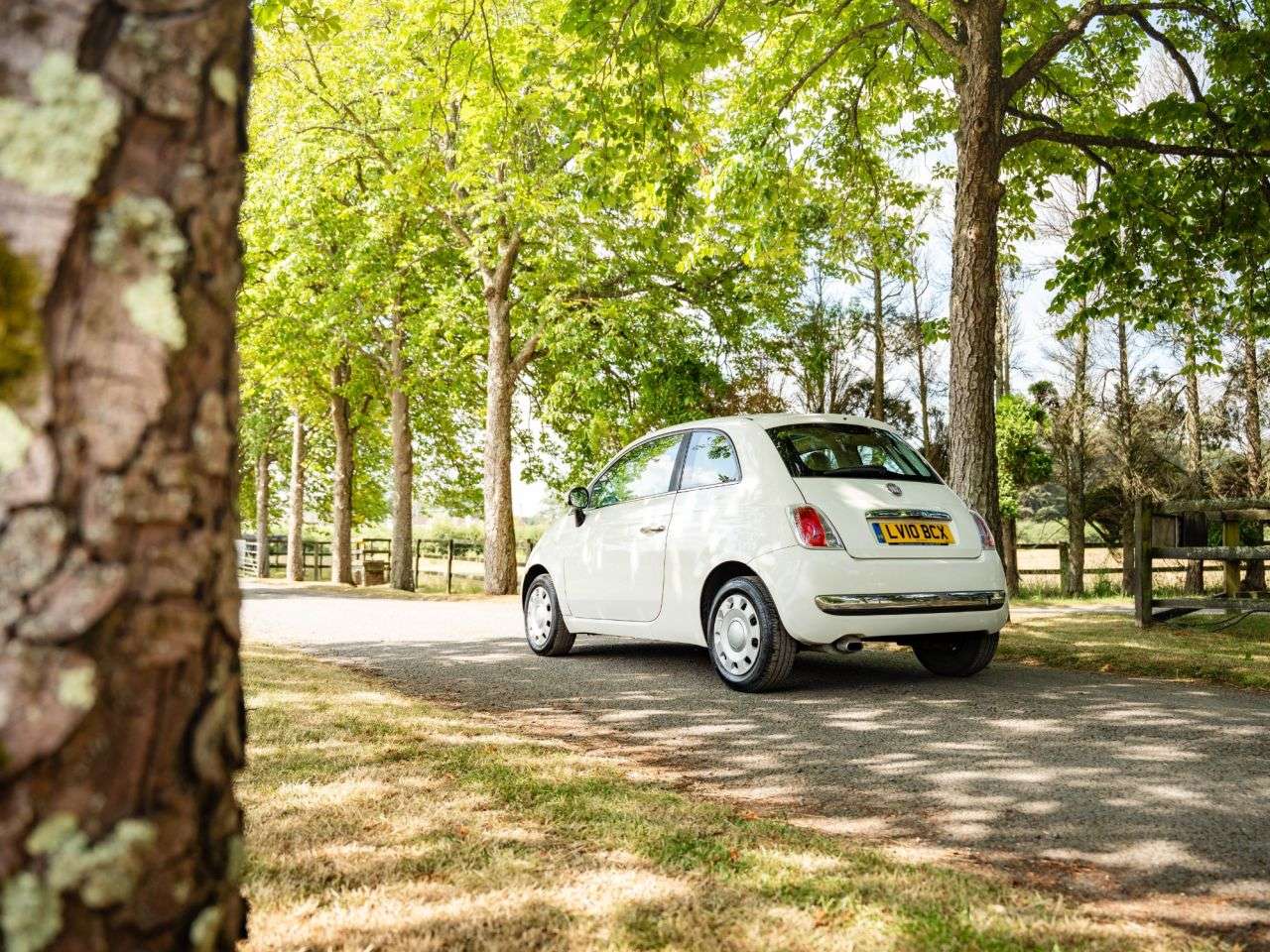 2010 FIAT 500 2010 FIAT 500