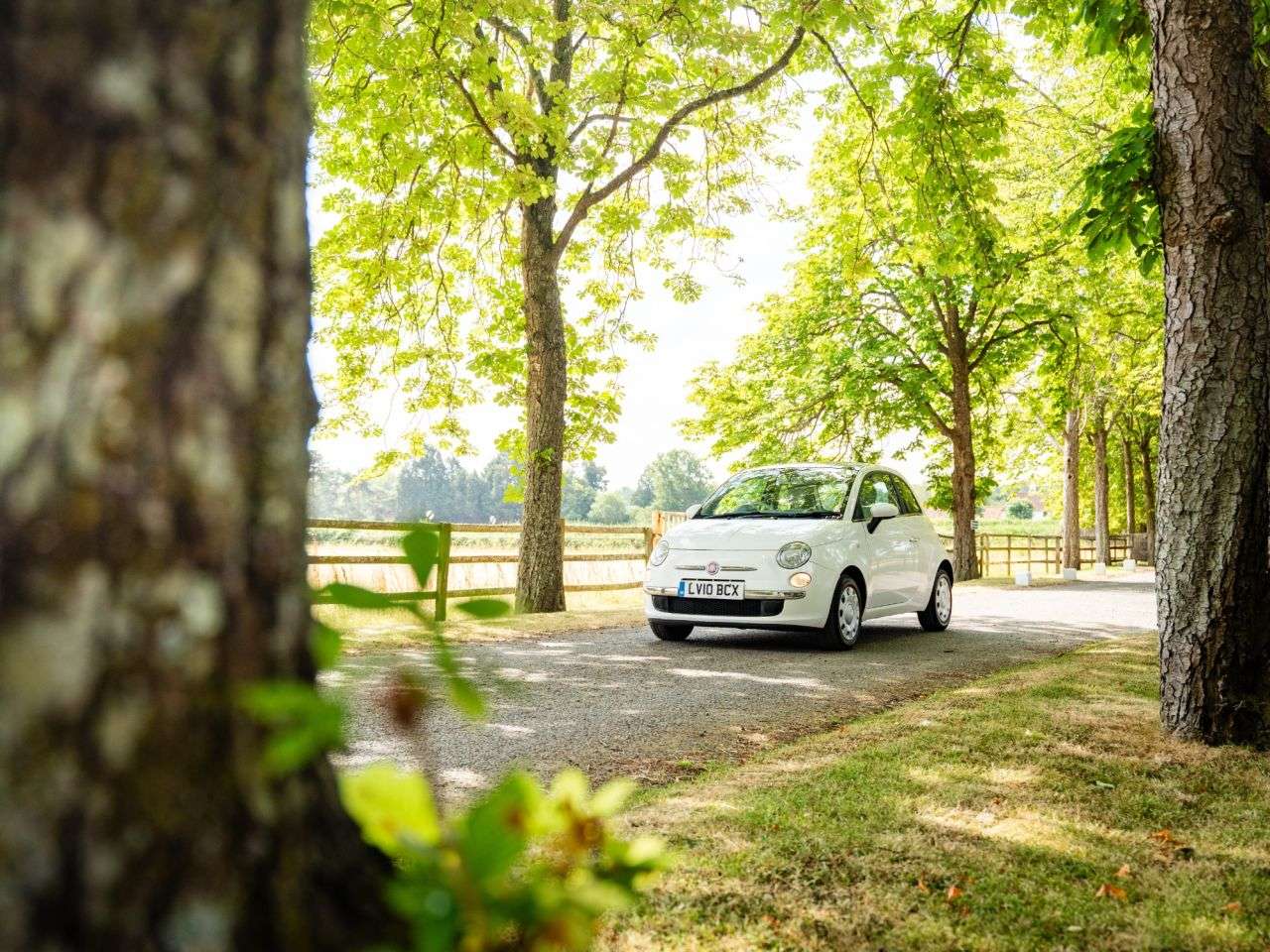 2010 FIAT 500 2010 FIAT 500