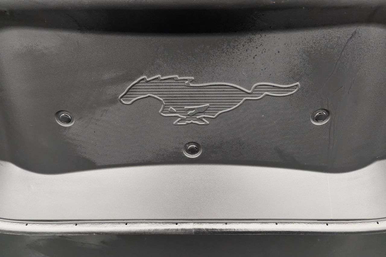 2021 FORD MUSTANG MACH-E 2021 FORD MUSTANG MACH-E