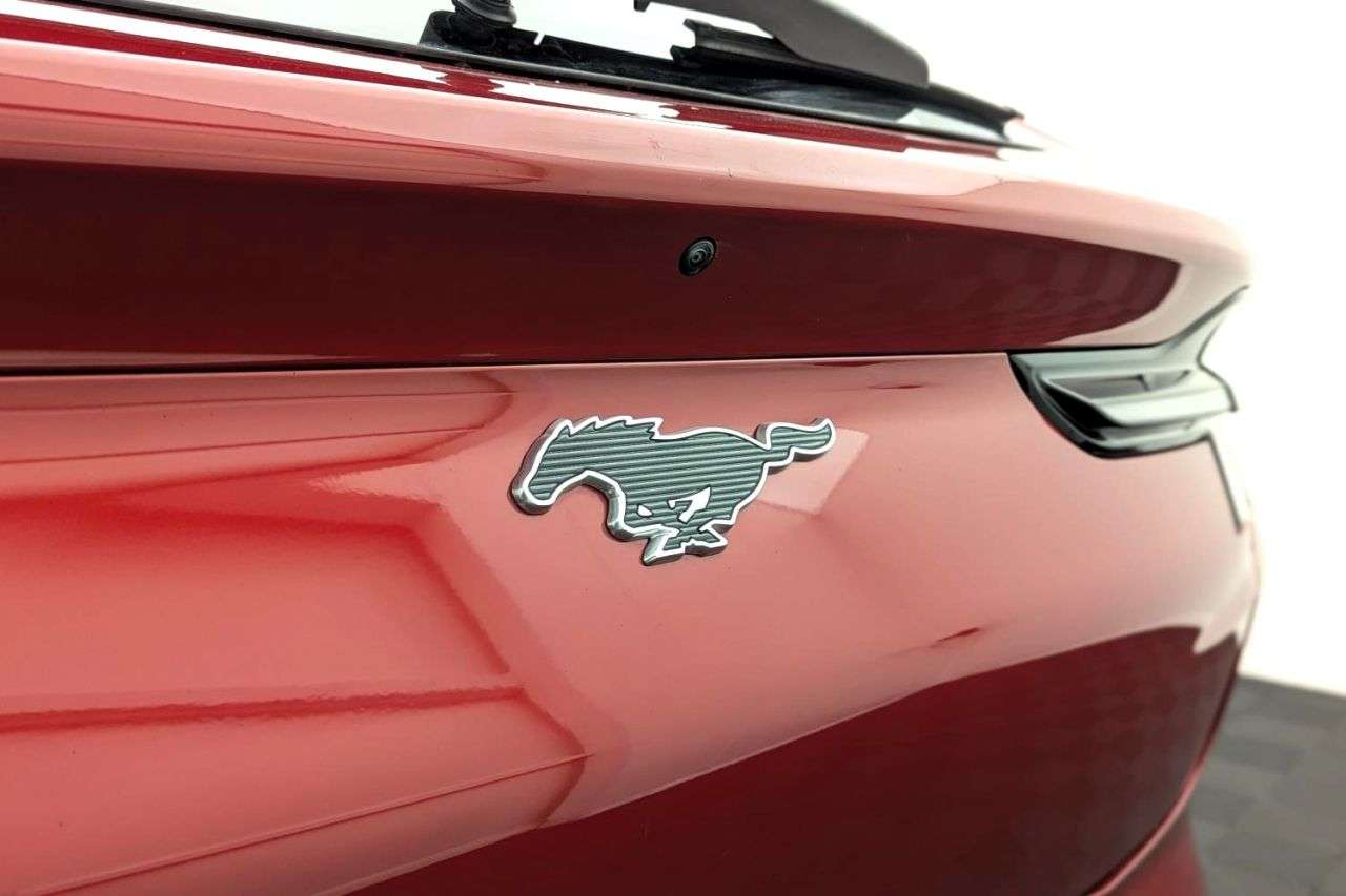 2021 FORD MUSTANG MACH-E 2021 FORD MUSTANG MACH-E