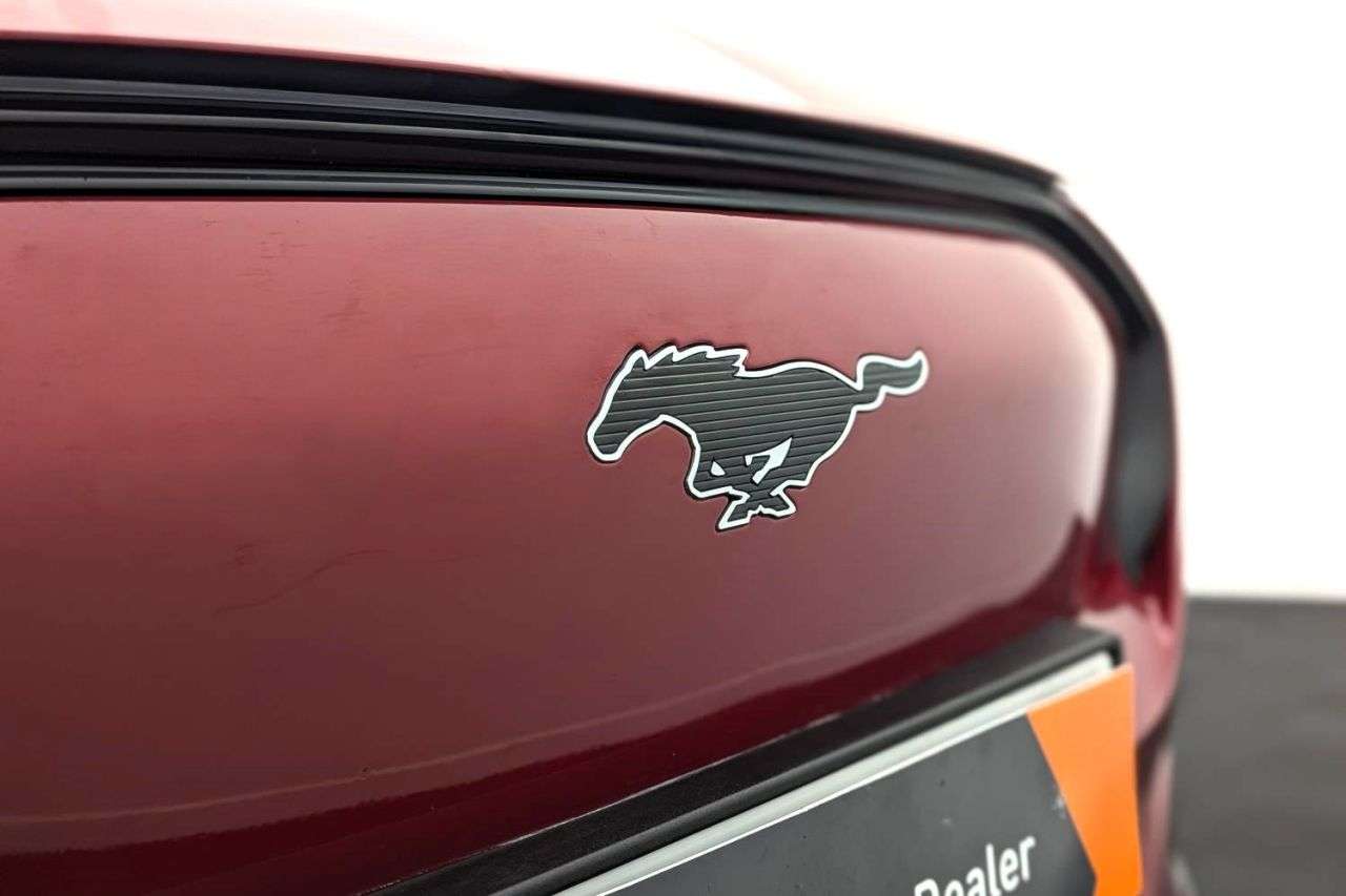 2021 FORD MUSTANG MACH-E 2021 FORD MUSTANG MACH-E