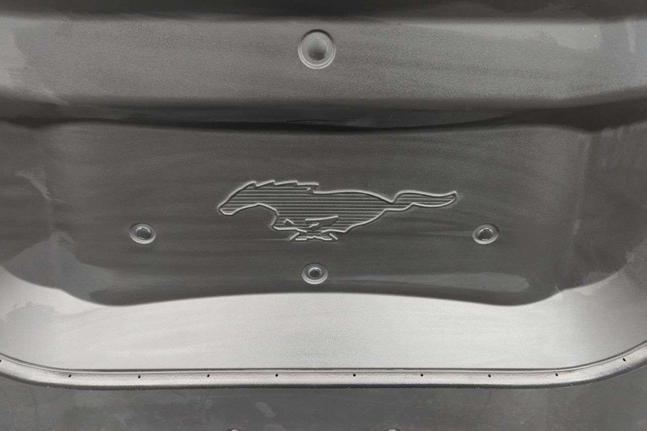 2021 FORD MUSTANG MACH-E 2021 FORD MUSTANG MACH-E