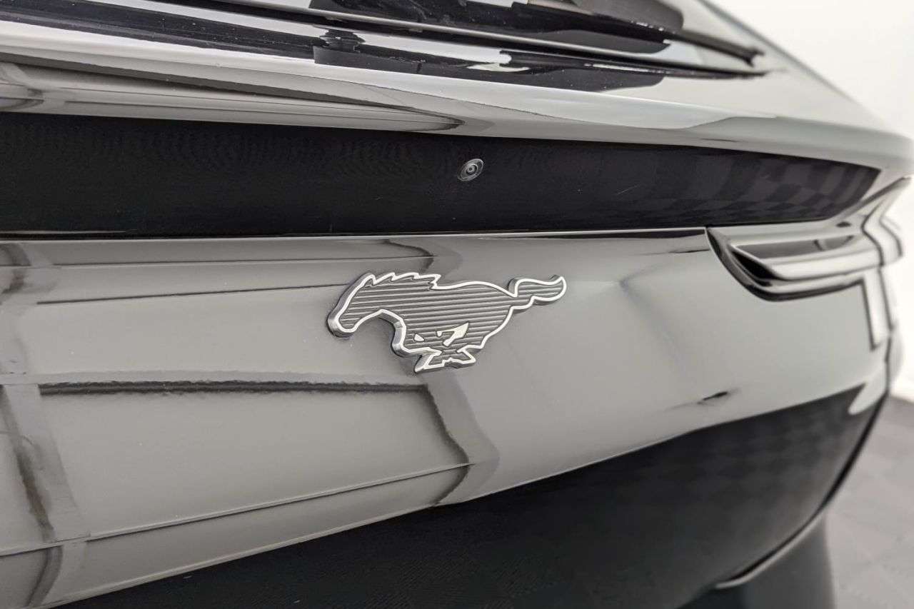 2021 FORD MUSTANG MACH-E 2021 FORD MUSTANG MACH-E