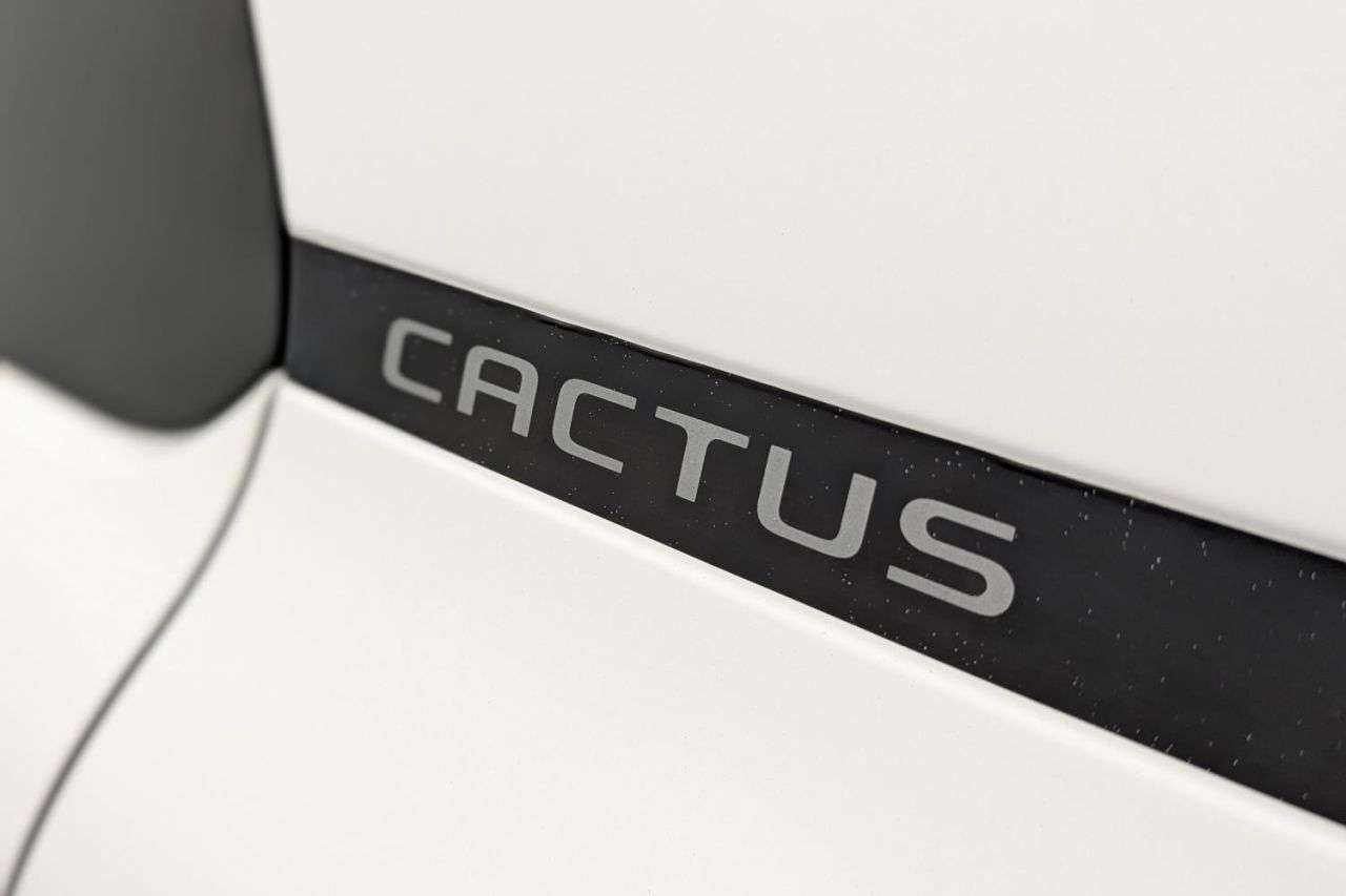 2019 CITROEN C4 CACTUS 2019 CITROEN C4 CACTUS