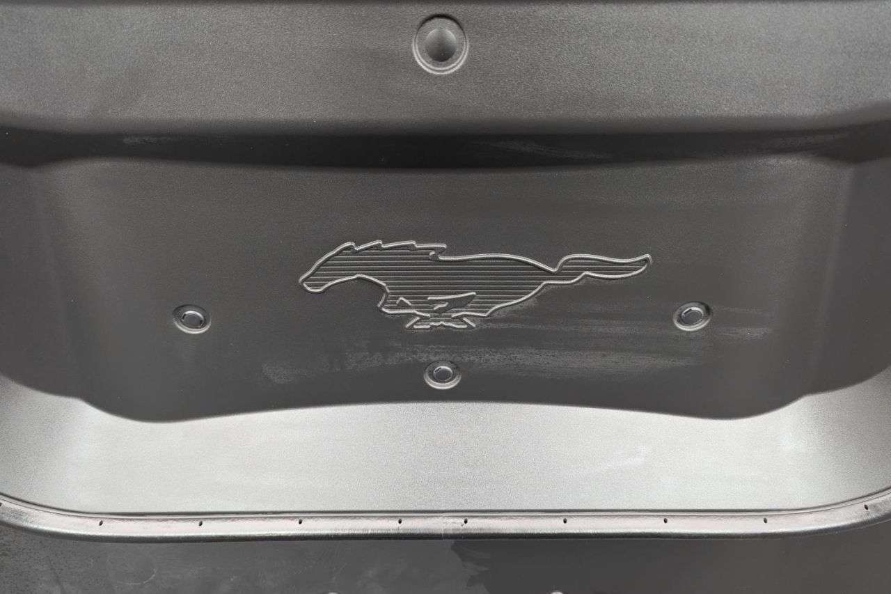 2021 FORD MUSTANG MACH-E 2021 FORD MUSTANG MACH-E