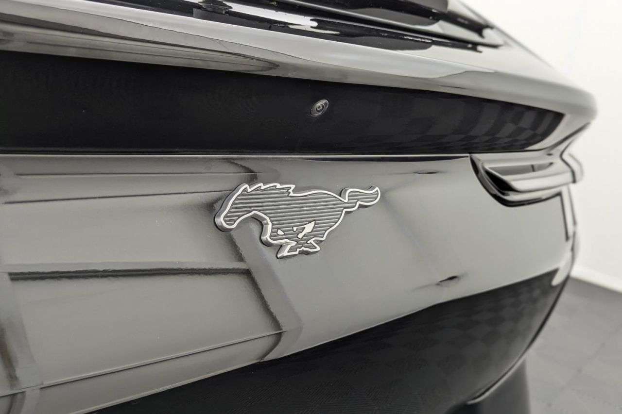 2021 FORD MUSTANG MACH-E 2021 FORD MUSTANG MACH-E