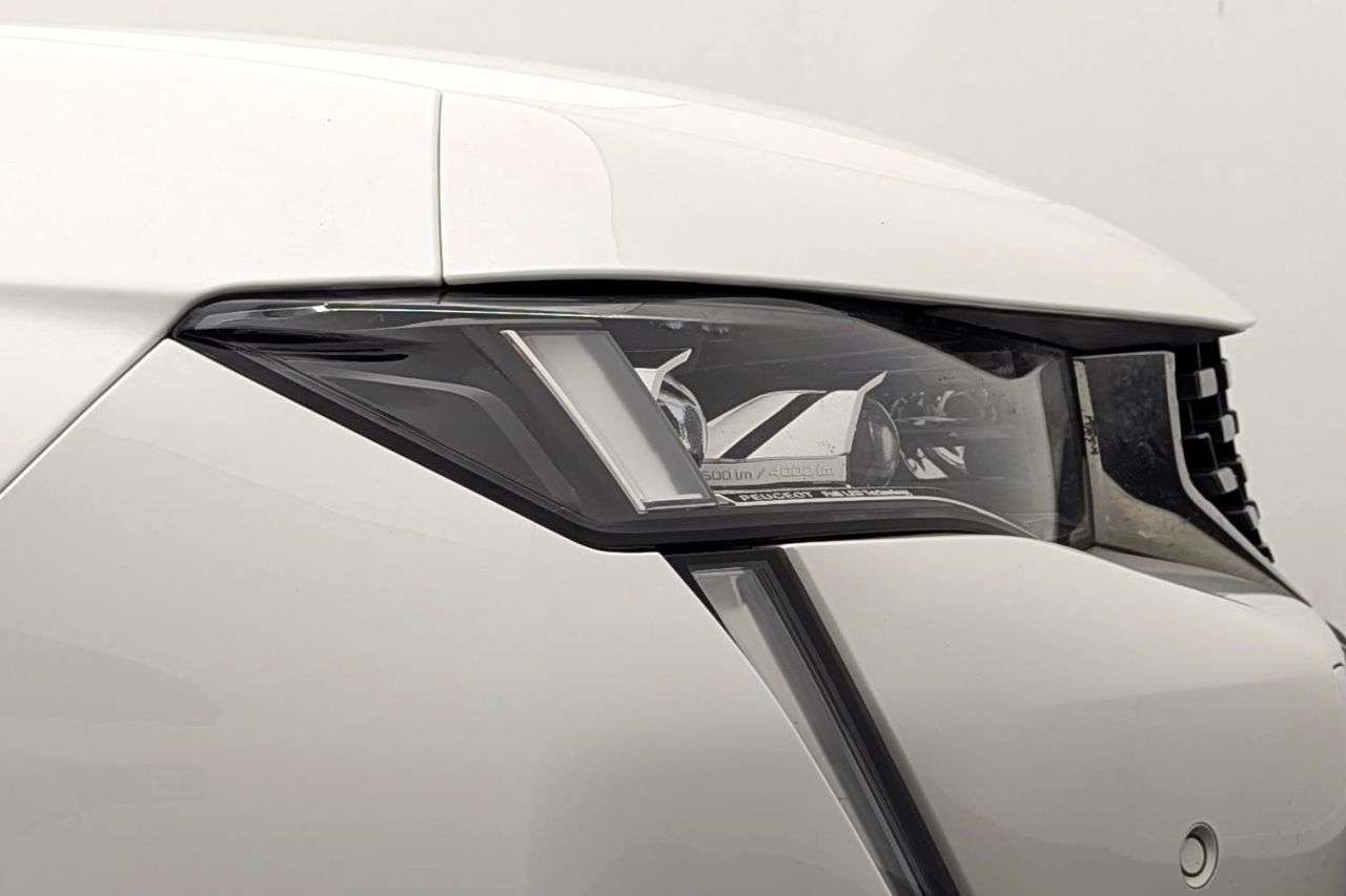 2019 PEUGEOT 508 2019 PEUGEOT 508