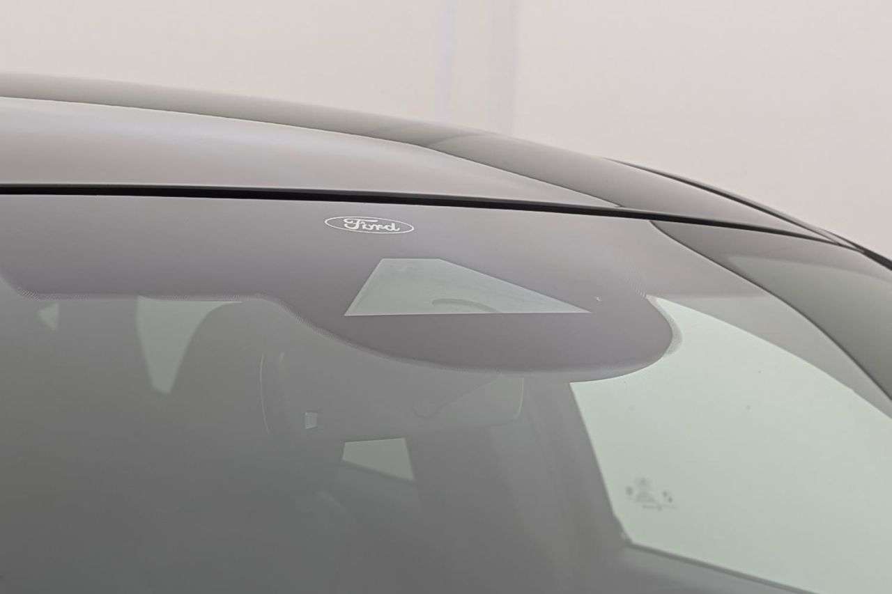 2021 FORD MUSTANG MACH-E 2021 FORD MUSTANG MACH-E