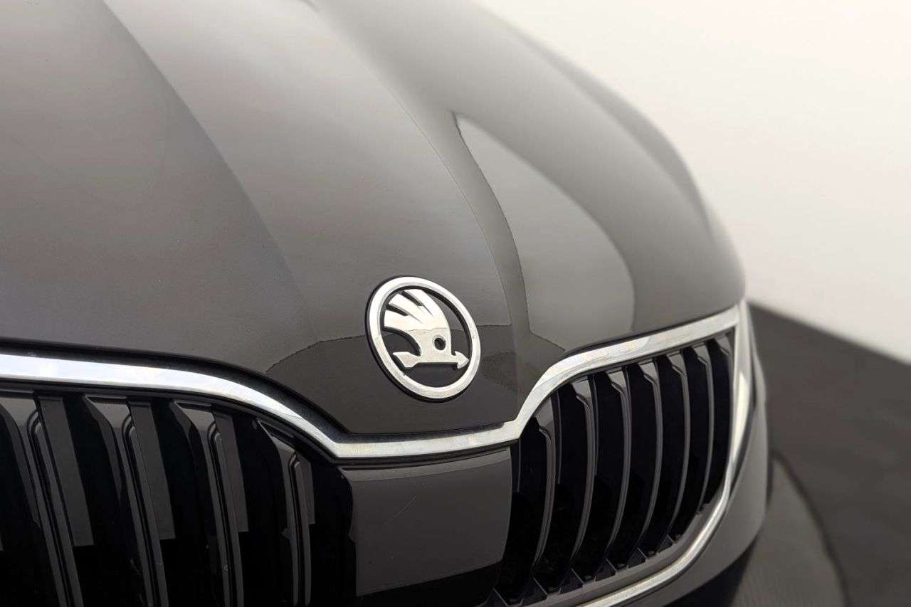 2019 SKODA OCTAVIA 2019 SKODA OCTAVIA