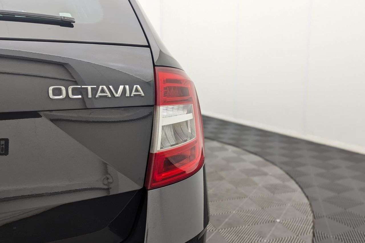 2019 SKODA OCTAVIA 2019 SKODA OCTAVIA