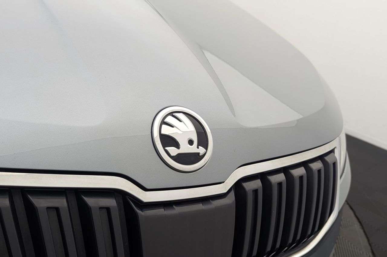 2019 SKODA KAROQ 2019 SKODA KAROQ