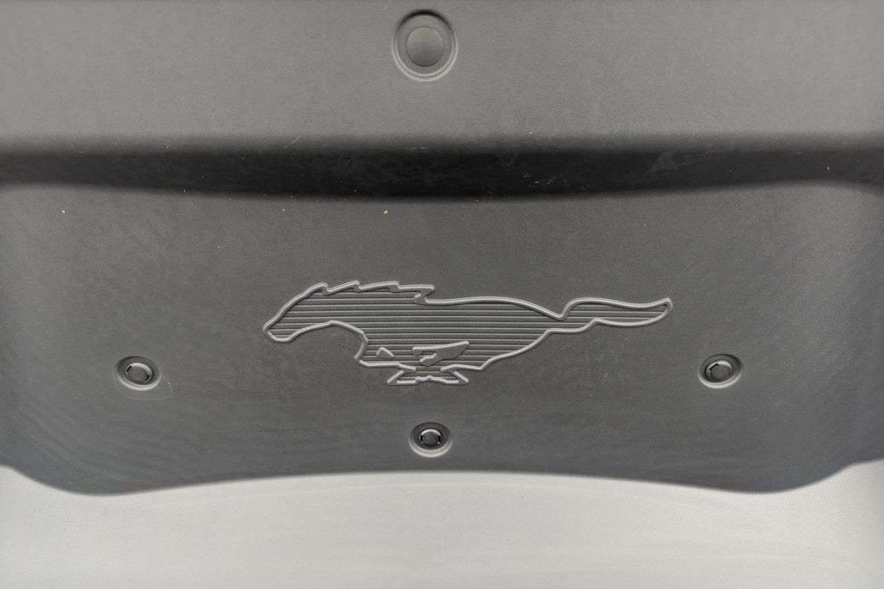 2021 FORD MUSTANG MACH-E 2021 FORD MUSTANG MACH-E