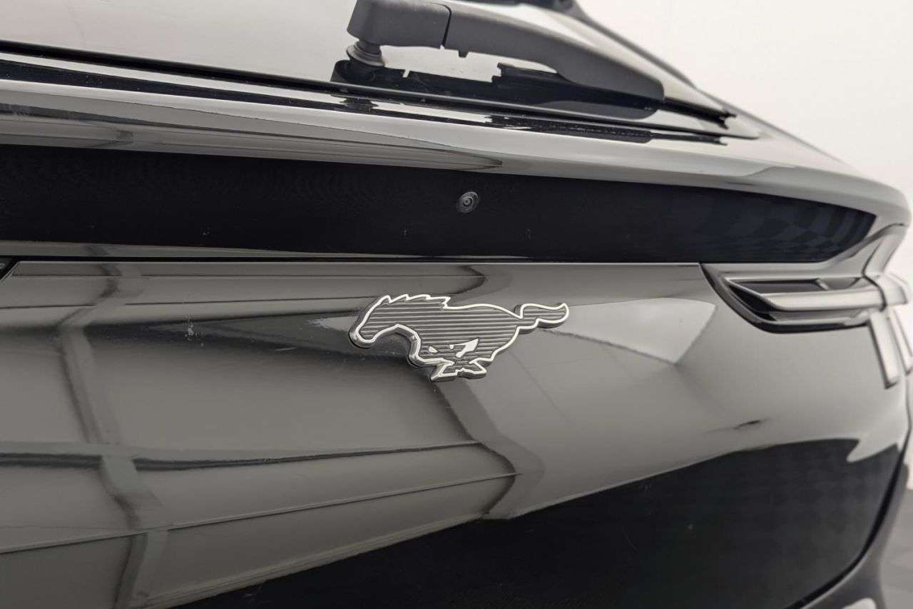 2021 FORD MUSTANG MACH-E 2021 FORD MUSTANG MACH-E