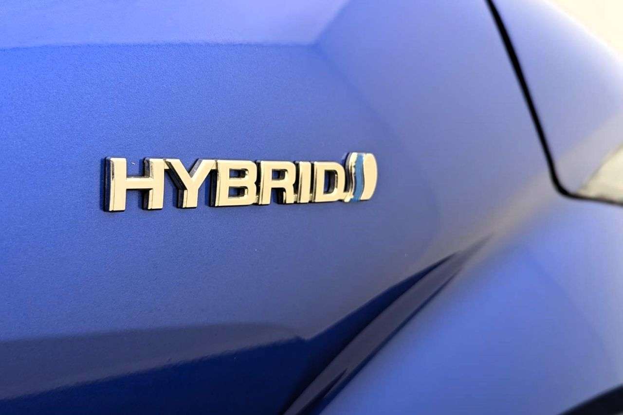2017 TOYOTA C-HR 2017 TOYOTA C-HR