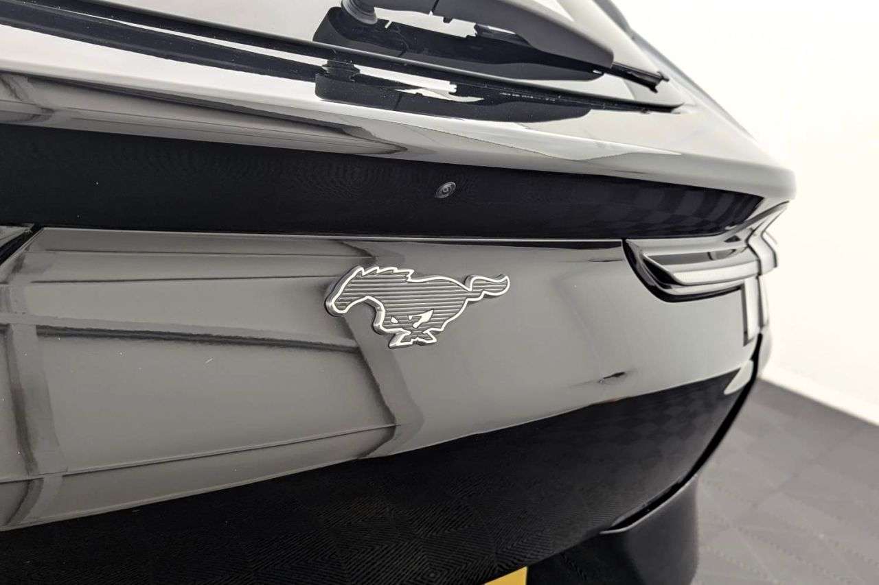 2021 FORD MUSTANG MACH-E 2021 FORD MUSTANG MACH-E