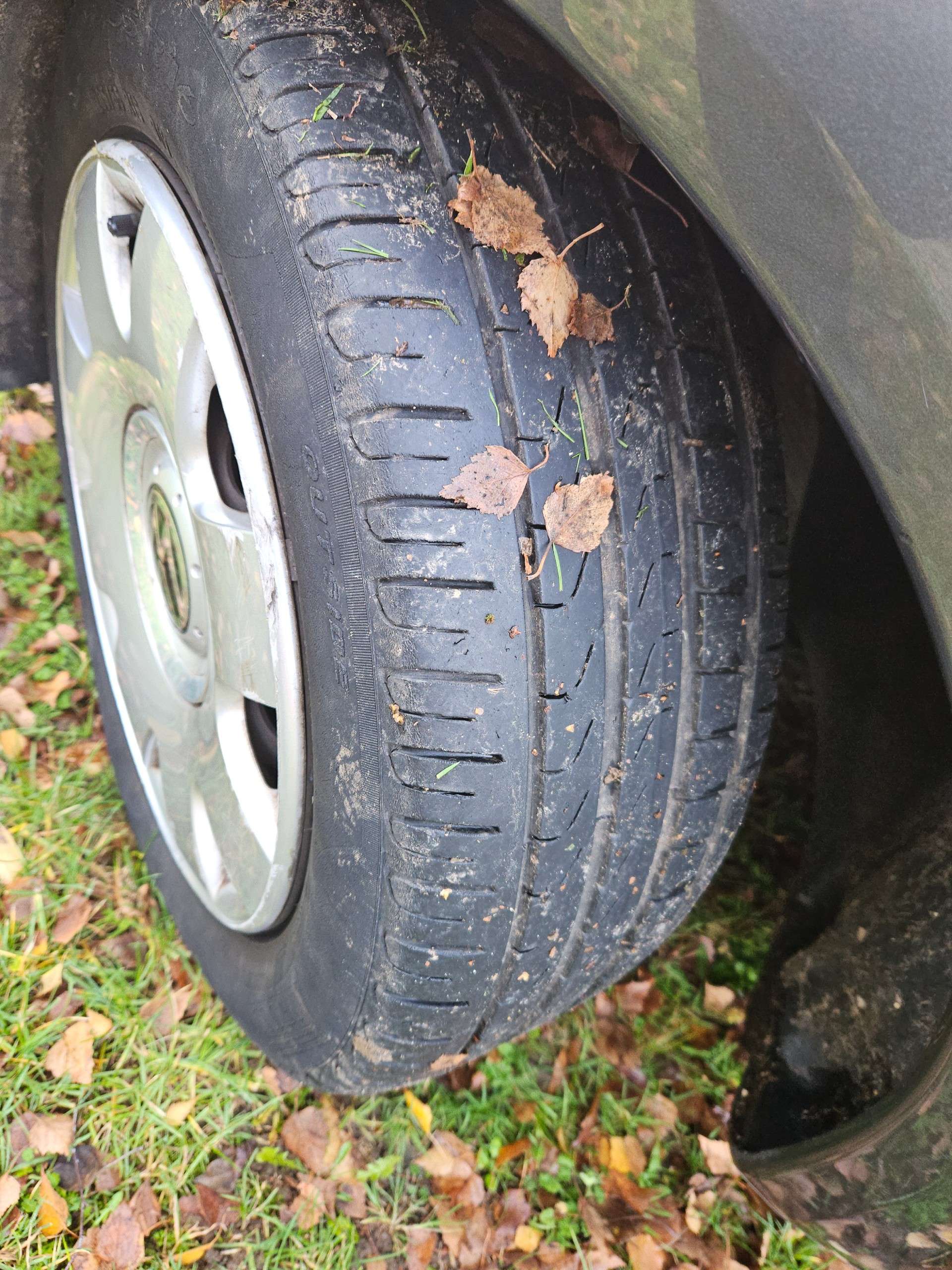 2003 VOLKSWAGEN BEETLE 2003 VOLKSWAGEN BEETLE
