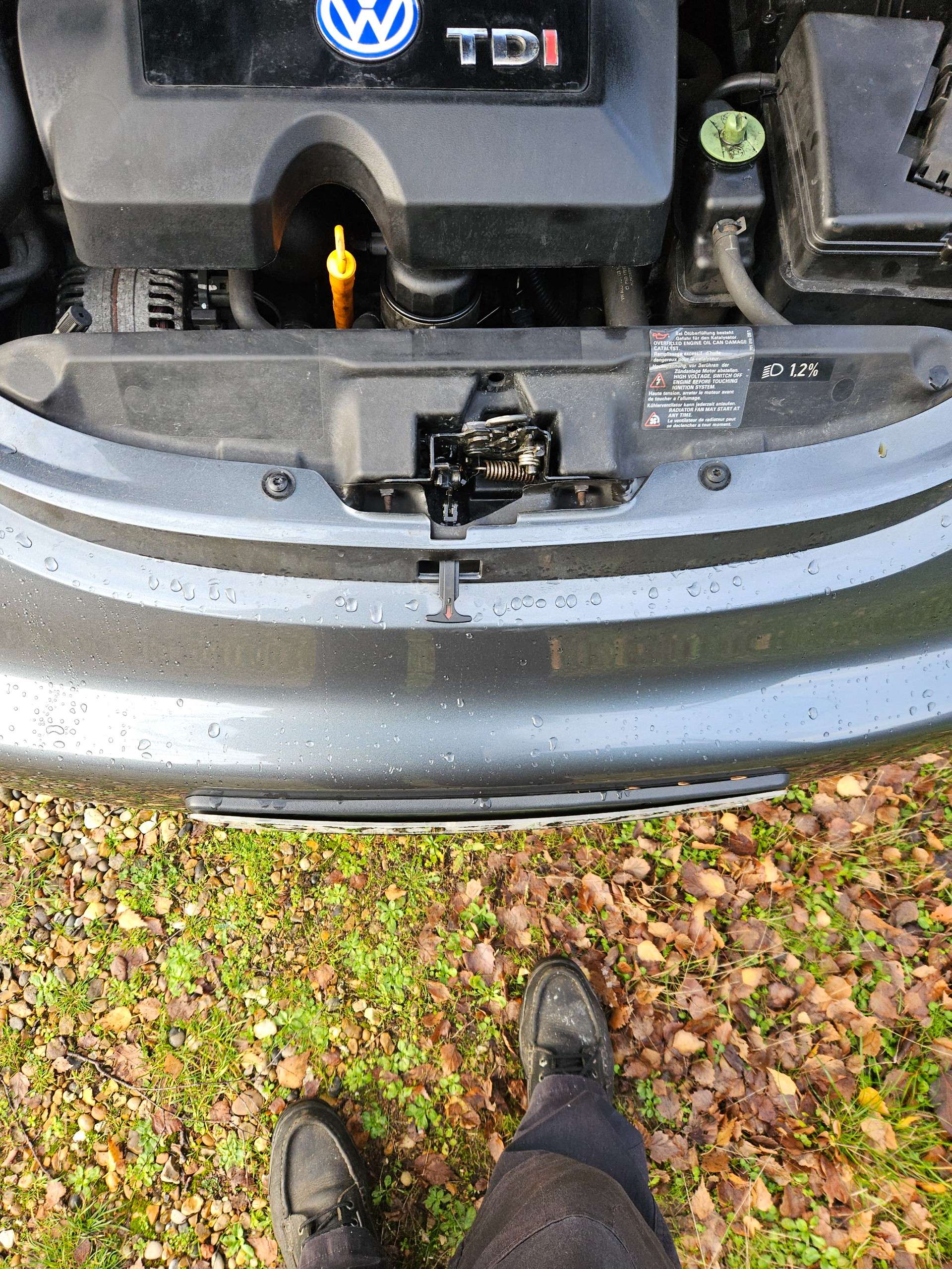 2003 VOLKSWAGEN BEETLE 2003 VOLKSWAGEN BEETLE