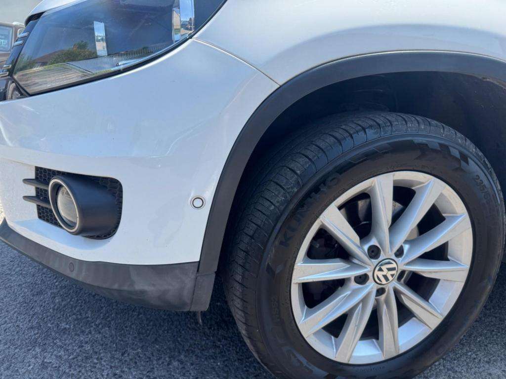 2013 VOLKSWAGEN TIGUAN 2013 VOLKSWAGEN TIGUAN